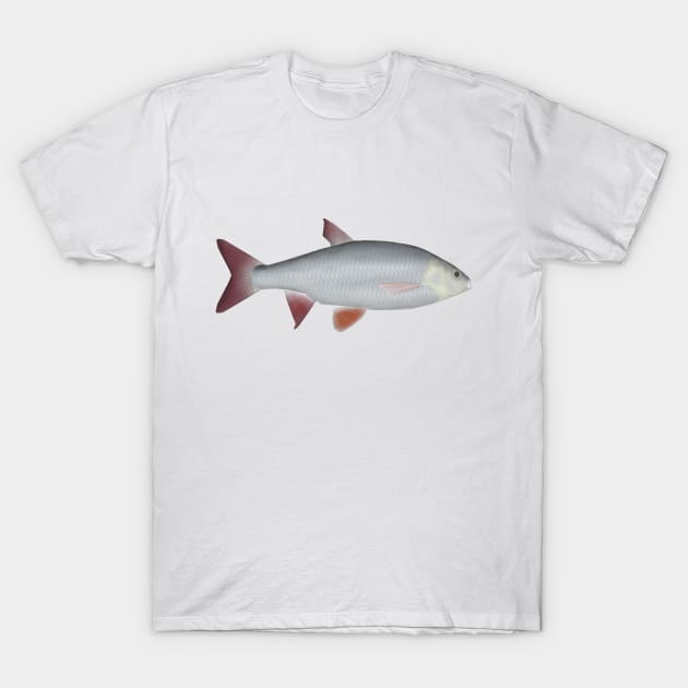 Ide T-Shirt by FishFolkArt